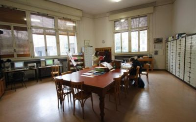 RELAZIONI DOCENTI