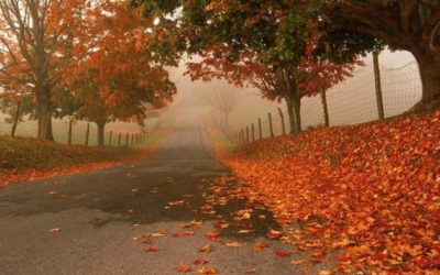 IMPRESSIONI DI SETTEMBRE