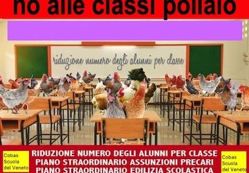 no alle classi pollaio