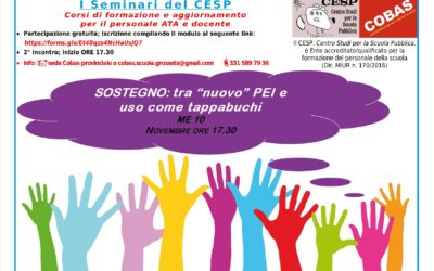 CESP:  “nuovo” PEI e uso dei docenti come tappabuchi.”