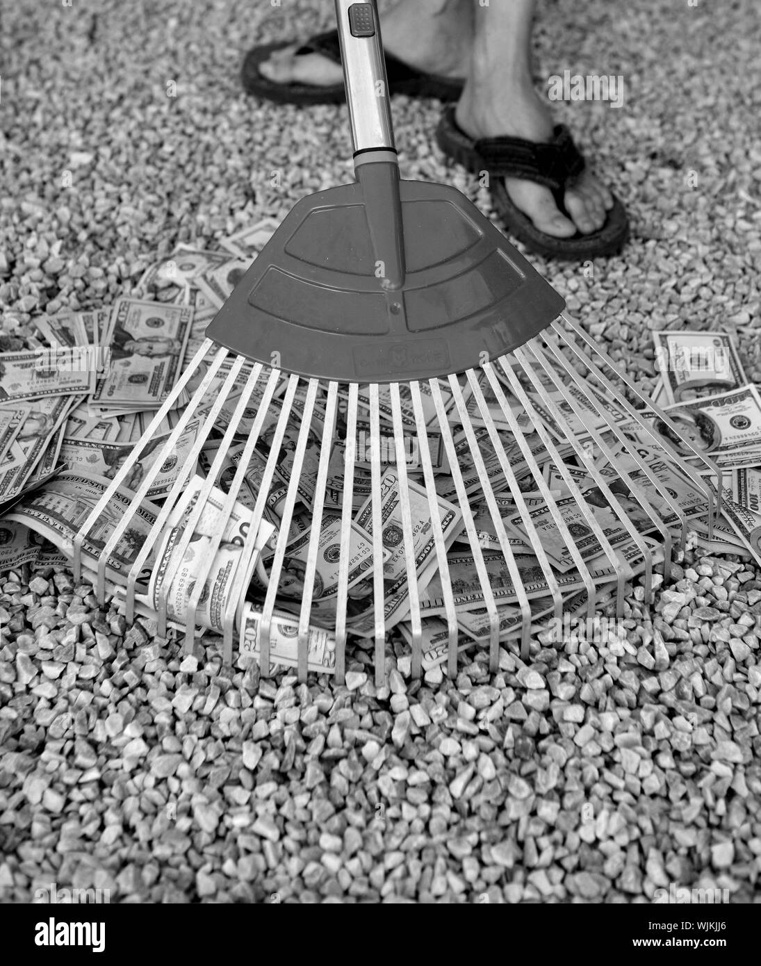 pulizia-dolar-nero-denaro-con-rastrello-metafora-dell-abbondanza-wjkjj6.jpg