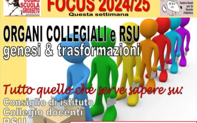 Focus su: ORGANI COLLEGIALI e RSU: genesi & trasformazioni  a cura dei Cobas Scuola di Grosseto e Palermo