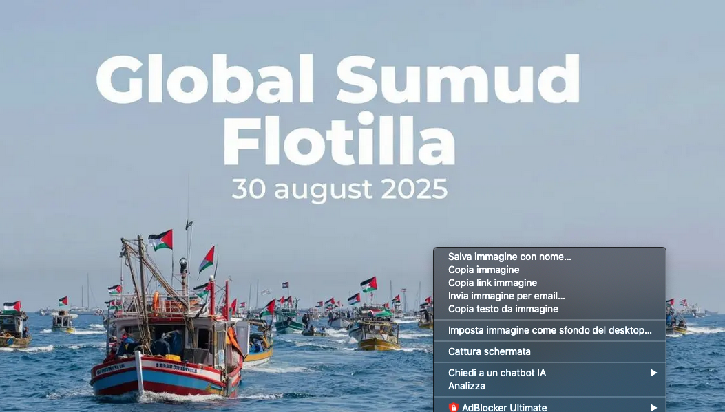 MOBILITAZIONE sociale e SCIOPERO a sostegno della SUMUD FLOTILLA  di cobas della scuola del veneto