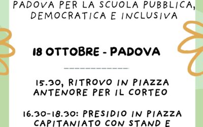 INDICAZIONI NAZIONALI MIM: ora tocca a noi  di cobas della scuola del veneto
